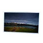 LM215WF3-SLS2 21.5 inch LCD panel 1920*1080 IPS lcd Screen Display for sale