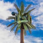 Customization 20m-50m Communication Monopole Artificial Tree Cell Towers Telecom Palm Bionic Disguise Tree Pole Tower for sale