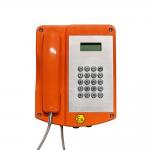 Free Dial IP66 Explosion Proof Keypad Telephone for sale