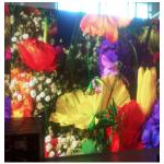 Constant Current Indoor Led Display Screen , LED Advertising Screen 6mm