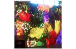 China Constant Current Indoor Led Display Screen , LED Advertising Screen 6mm supplier