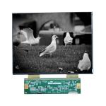 18.5 Inch 1366*768 TFT Automotive Display LCD Panel HSD121KXN1-A10-0299 LCD IPS Screen for sale