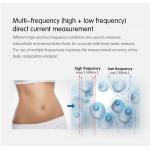 Electronic Height Weight Fat and BMI Health Scale and Fat Analysis