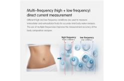 China Electronic Height Weight Fat and BMI Health Scale and Fat Analysis supplier