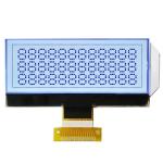FSTN STN Postive COG LCD Display 192x64 Graphic 6 O'Clock Viewing Angle for sale