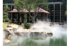 China Modern Water Mist Fountain Using High Pressure Fogging System Eco Friendly supplier