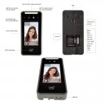 Timmy Free Biometric Time Attendance Machine With API Rfid Card Reader