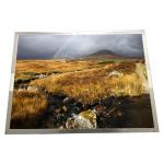 G150XG01 V2 TFT LCD Screen Display Panel 1024×768 XGA 85PPI Resolution for sale