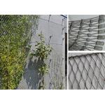 3m Height 7 × 7 Wire Rope Mesh Climbing Plants Diamond Green Facade Cable System for sale