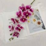 Simulated Phalaenopsis wedding backdrop decoration ornaments for sale