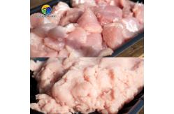 China 6 Liters 100KG/H SS Meat Processing Machine Food Crusher supplier