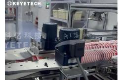 China AI Based Camera Inspection Machine Before IML Cup Loading and Stacking supplier