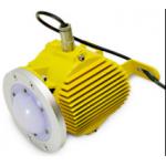 Corrosion proof and explosionproof LED explosion proof light