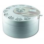 400W Food Dehydrator Banana Chips Mango Fruit Dryer Machine for sale