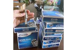 China 12453572 NGK Prechamber Spark Plug For MWM TCG2020 Gas Engine supplier