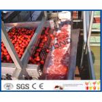 Full / Semi Automatic Tomato Processing Equipment For Tomato Processing Plant for sale