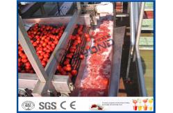 China Full / Semi Automatic Tomato Processing Equipment For Tomato Processing Plant supplier