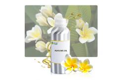 China Frangipani Perfume Oil Long Lasting Woody Perfume Fragrance For Making Perfume supplier