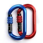 Camping Hiking Outdoor D Type Carabiner Hook With Screw for sale