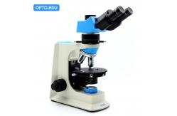China OPTO-EDU A15.2603-A Polarizing Microscope, Transmit Light. Binocular supplier