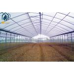 Customizable Multi Span Tunnel Greenhouse For Medium And Large Scale Farm