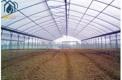 China Customizable Multi Span Tunnel Greenhouse For Medium And Large Scale Farm supplier