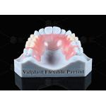 Natural Looking Valplast Partial Denture Longevity Highly Resistant To Fractures for sale