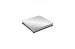 China ESI Explosion Proof 4 Beam 15Vdc Floor Weighing Scale supplier