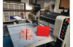China 2190kg Positioning Machine For Gluing Rigid Box L5981xW3182xH2103mm supplier