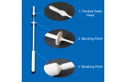 China ODM Portable Nylon Nasopharyngeal Flocked Swab For PCR Test Rapid Test supplier