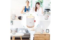 China Ultrasonic 500ml Portable Mini Humidifier supplier