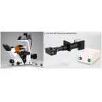 20x / 40x Annular Spot Inverted Optical Microscope Trinocular A14.2605