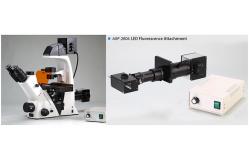 China 20x / 40x Annular Spot Inverted Optical Microscope Trinocular A14.2605 supplier