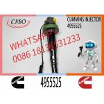 Diesel QSK19 Engine Common Rail Fuel Injector 4955524 4955525 2867149 2882079 4964173