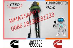 China Diesel QSK19 Engine Common Rail Fuel Injector 4955524 4955525 2867149 2882079 4964173 supplier