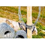 Double strand traditional twist Hot Dipped Galvanized Barbed Wire for sale