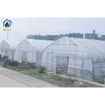 Hot Dip Galvanized Pipe High Tunnel Greenhouse Customizable Agriculture Greenhouse for sale