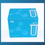 HCY Rapid Nucleic Acid Purification Kit Medical DNA Isolation Kit ISO13485 for sale
