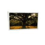 16.0 inch LX160M1BB01 1920*1200 LCD display panel for sale