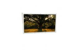 China 16.0 inch LX160M1BB01 1920*1200 LCD display panel supplier