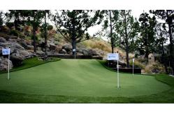China High Density Artificial Synthetic Lawn Turf Green Grass Carpet supplier