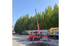China Electric And Diesel Power Spider Crawler Crane In Red supplier