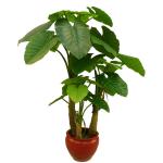High Simulation Lager Leaves Plant Artificial Elephant's Ear Tree With Three Trunk For Landscaping for sale