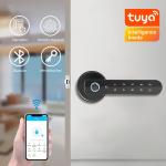 Tuya App Smart Code Door Lock Biometric Password Access Digital Auto Door Lock for sale