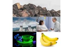 China Handheld Pocket Geiger Counter Nuclear Radiation Detection Devices OEM supplier
