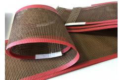 China Polymer Materials PTFE Conveyor Belt Acid And Alkali Resistance supplier