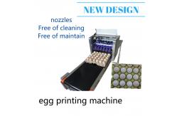 China Easy Control Egg Inkjet Marking Machine / Ink Stamping Machine With Conveyor supplier