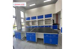 China Enhance Your Lab Performance with Stainless Steel Chemistry Lab Casework supplier