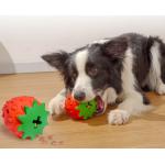 Cotton Rope Carrot Pet Chew Toys Interactive 30x30x43CM for sale