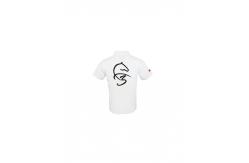 China 180GSM 100% Polyester Men T-SHIRT & POLO Dry Fit Mesh Short Sleeve supplier